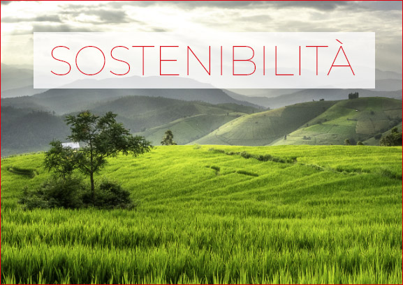 sostenibiltà